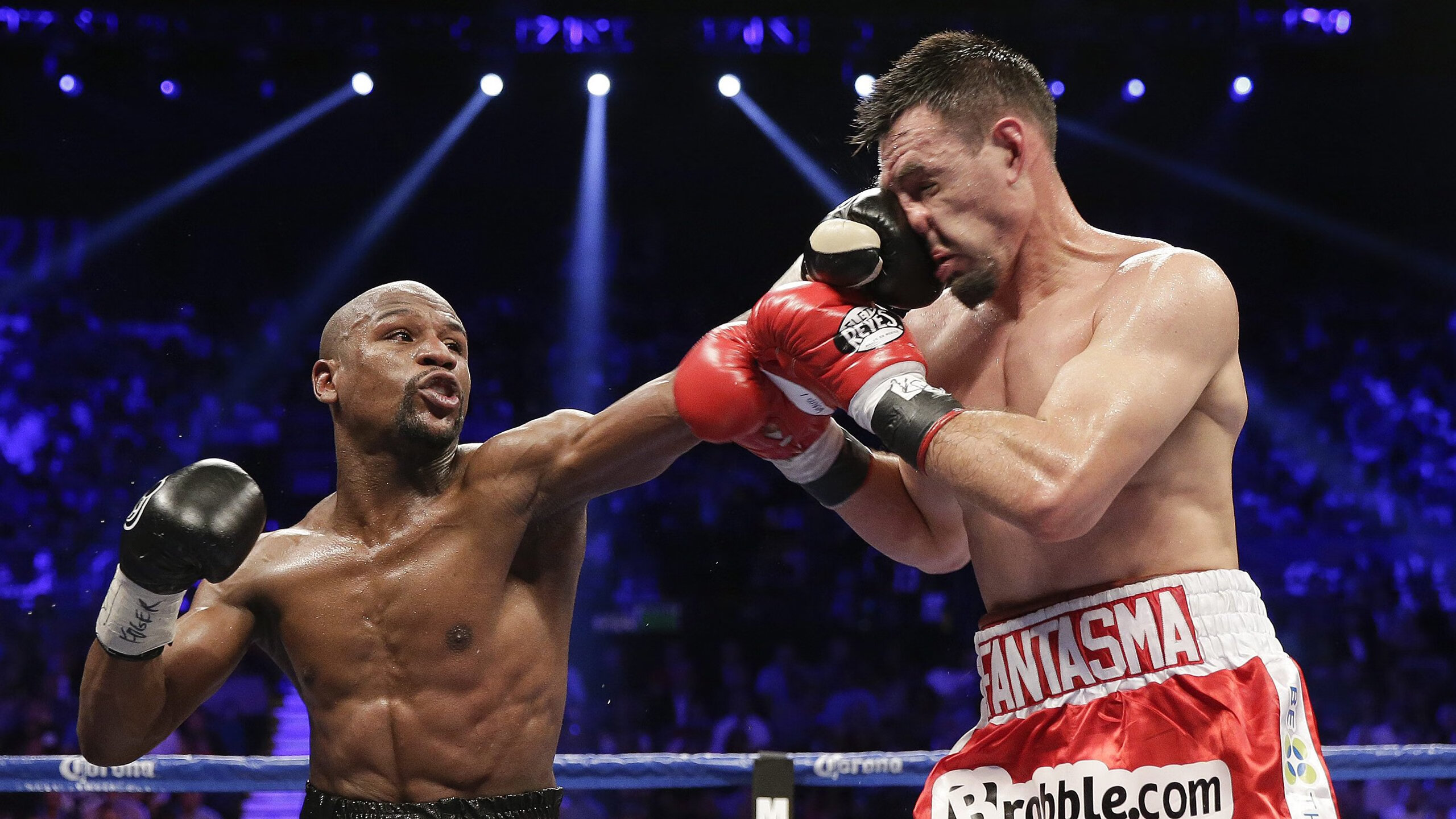 球迷纪录：最忠实欧冠追随者的故事，欧冠 球星